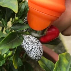 3d Stitchable Christmas Tree Silicone Push It Pop Bubble Fingertip Toys Rainbow -Schmidt Butik 217090718 max