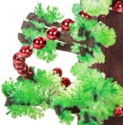 Set Of 2 Mini Growing Magical Christmas Tree, Science Kits And Learning Guide