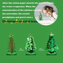Set Of 2 Mini Growing Magical Christmas Tree, Science Kits And Learning Guide -Schmidt Butik 401287713 max