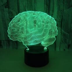 Qinwei Brain 3d Illusion Decoration Lamp Gawell 7 Color Changing Touch Switch Table Desk Night Light Birthday Christmas Gift With Acrylic FlatFor Br 7 Qinwei Brain 3d Illusion Decoration Lamp Gawell 7 Color Changing Touch Switch Table Desk Night Light Birthday Christmas Gift With Acrylic FlatFor Br -Schmidt Butik 405037577 max