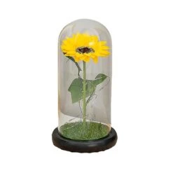 Artificial Sunflower Eternal Flowers In Dome Ornament With Lights Home Decor Beauty And The Beast For Christmas Valentines Gift -Schmidt Butik 970848788 max